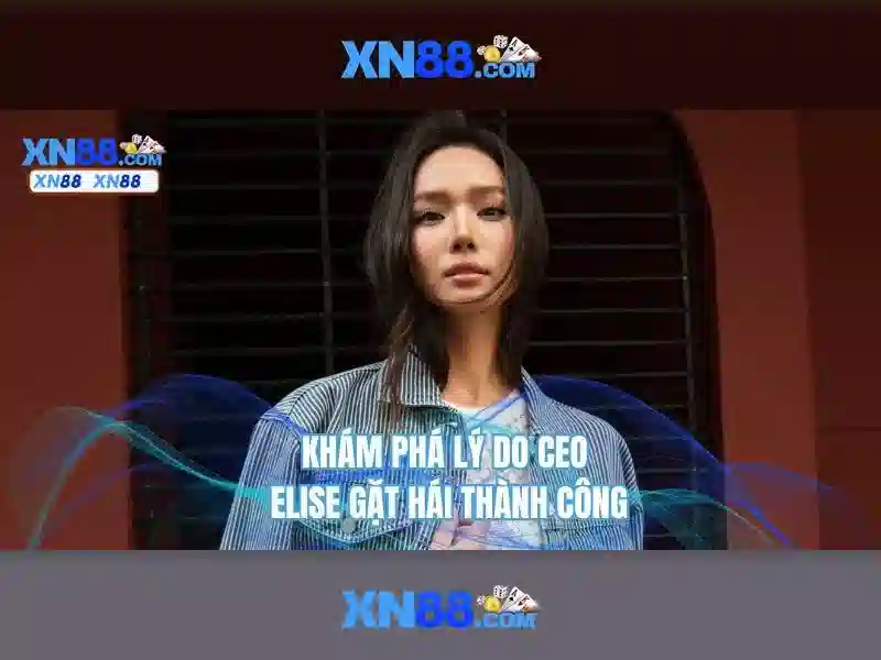 Khám phá các trò chơi và ưu đãi