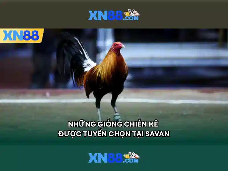 Bieu mau dien thong tin dang nhap tren giao dien may tinh