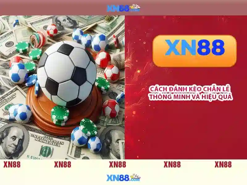 Giới thiệu về xn88
