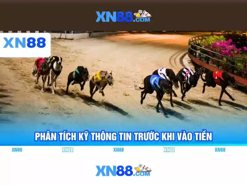 Lịch sử và phát triển