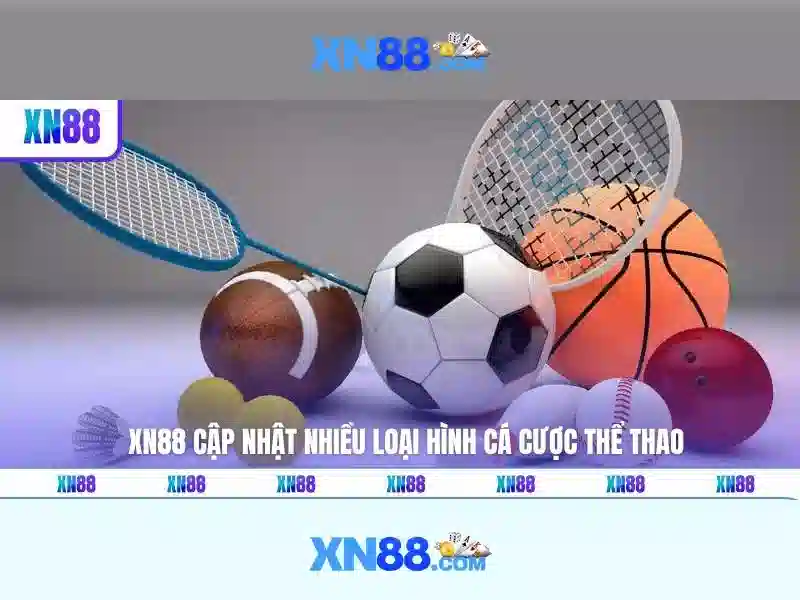 Giao diện và trải nghiệm người dùng
