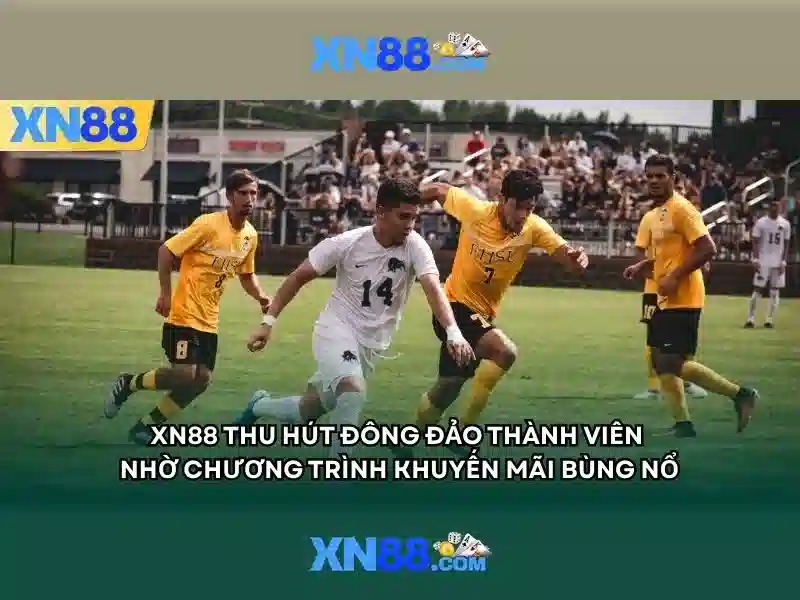 Lịch sử của xn88
