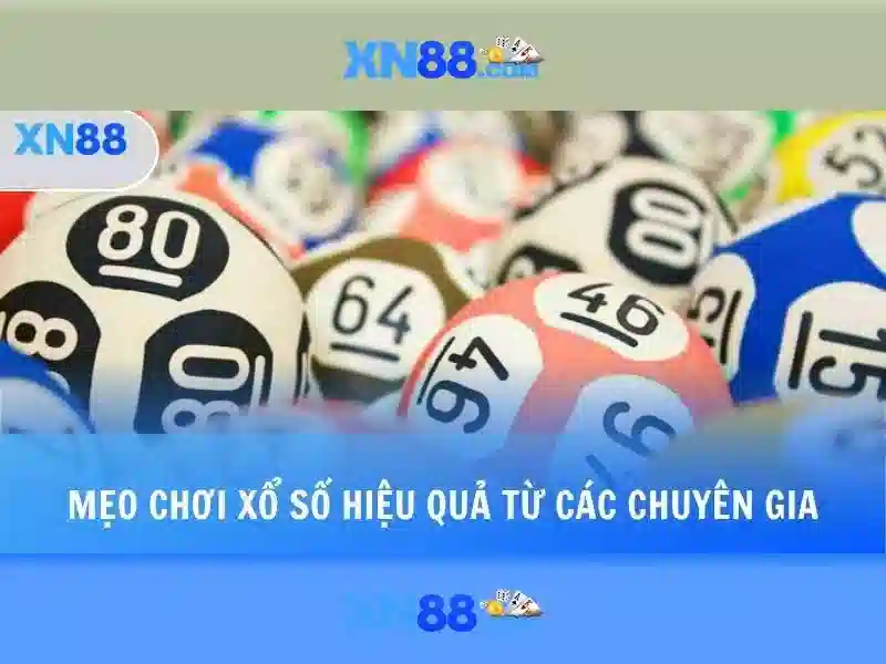 Xn88: Giới thiệu và lĩnh vực hoạt động