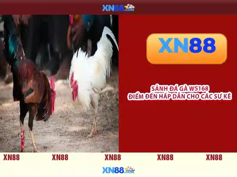 Ảnh tổng kết trải nghiệm người dùng