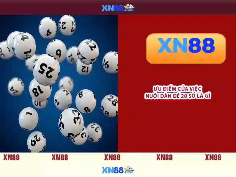 xn88: một cái nhìn tổng quan Giao diện nhà cái hoàn hảo
