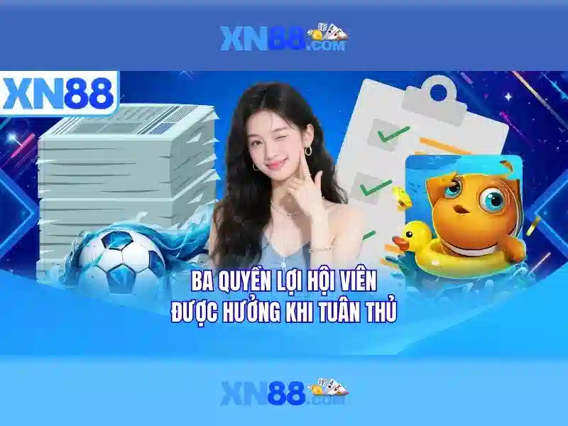 Khuyến nghị dành cho người dùng