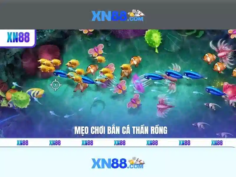 Nền tảng và tính năng