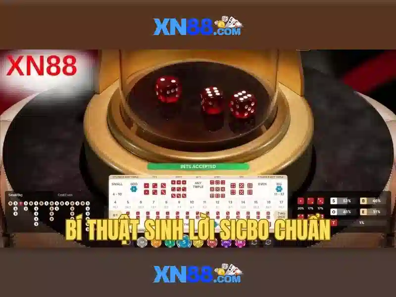 Hướng dẫn tham gia an toàn