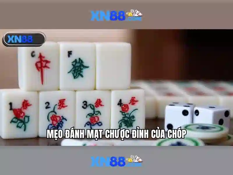 Giới thiệu về xn88