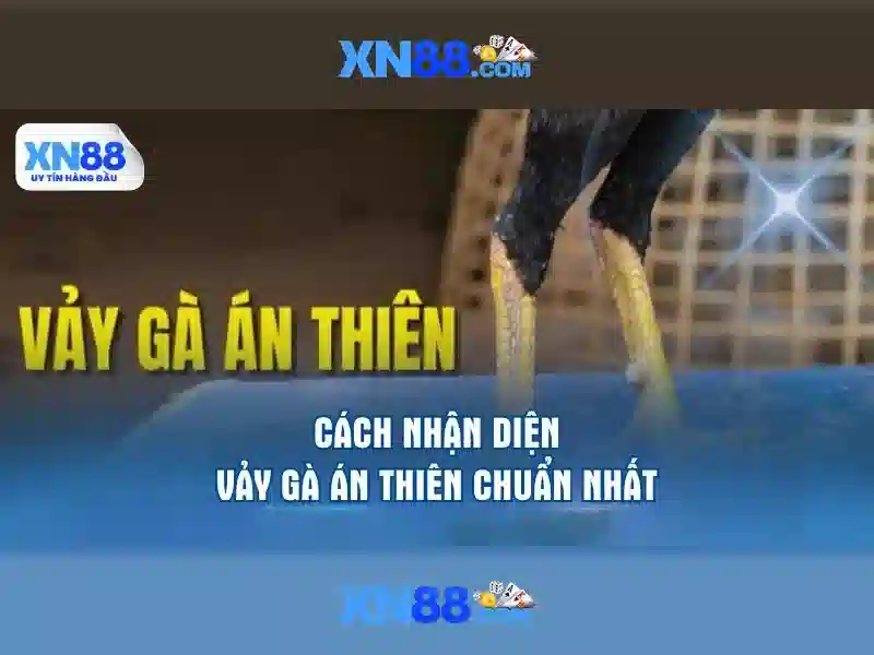 Cách thức hoạt động của xn88