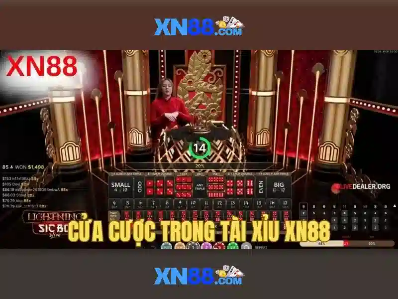 Giao diện nhà cái hoàn hảo