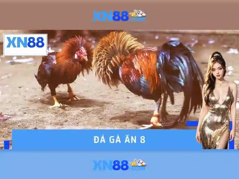 XN88 là gì và hướng dẫn cơ bản Giao diện nhà cái hoàn hảo
