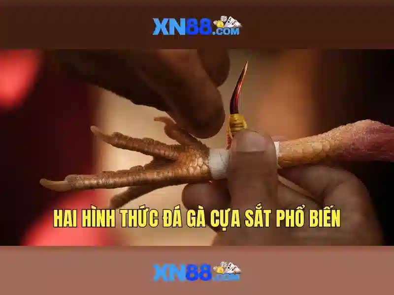 Giao diện nhà cái hoàn hảo