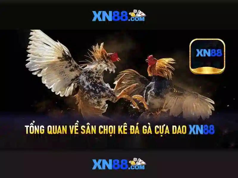 Giới thiệu về XN88