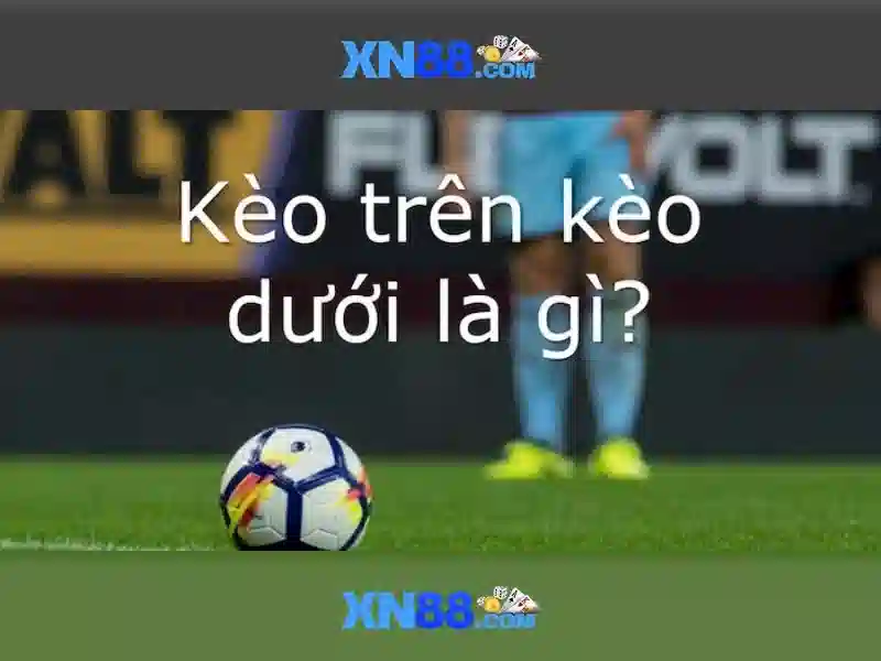 Nguồn gốc và mục đích
