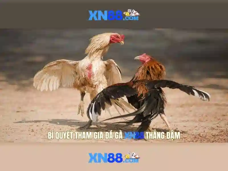 An toàn và thanh toán