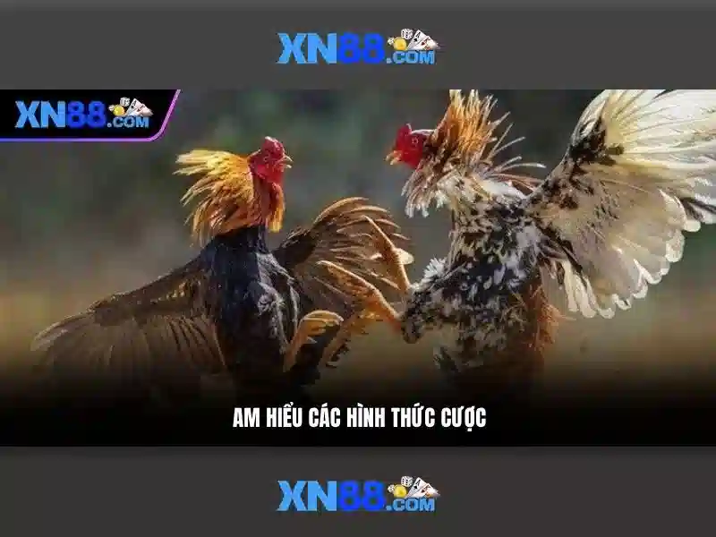 Tính năng nổi bật của xn88