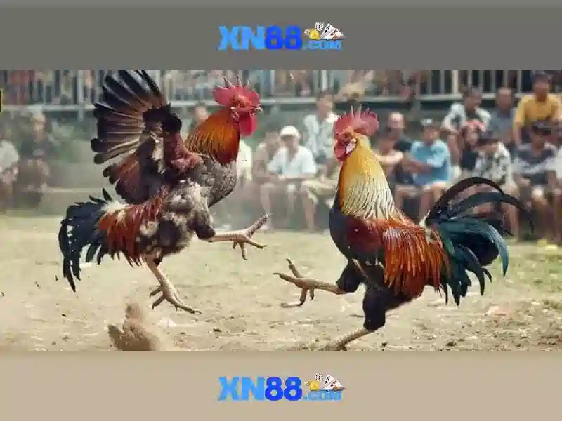 Hướng dẫn đăng ký và trải nghiệm người dùng