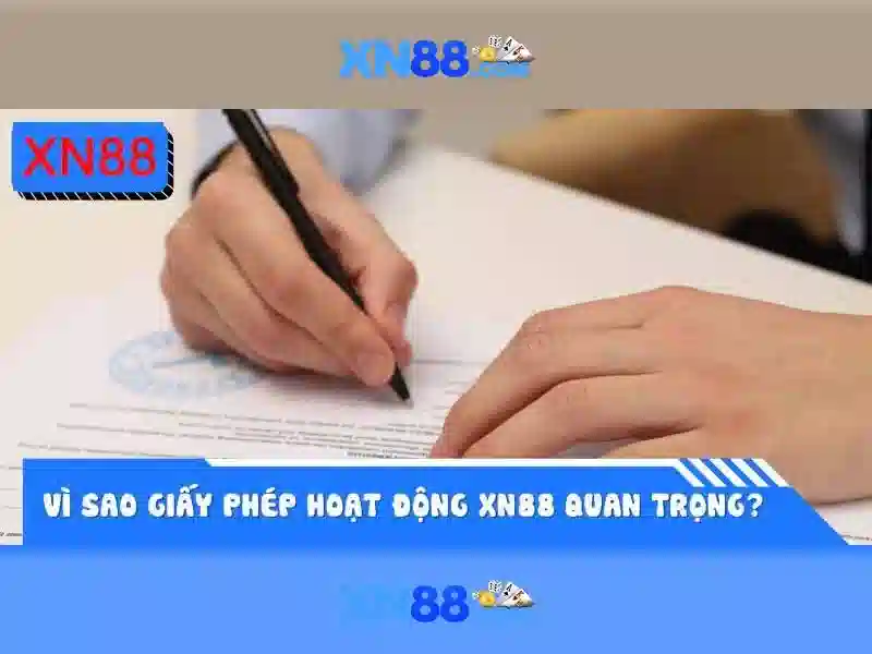 Giao diện nhà cái hoàn hảo