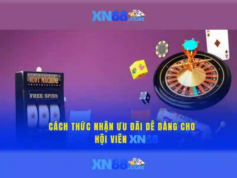 Hỗ trợ khách hàng và phản hồi