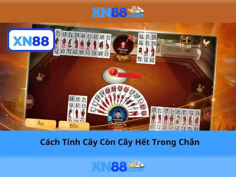 Trò chơi và lựa chọn cược