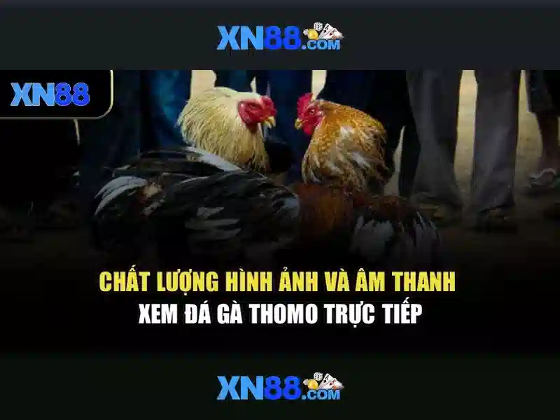 Giới thiệu về xn88