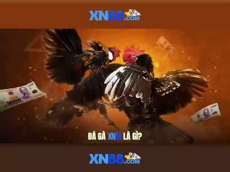 Cam kết công bằng và an toàn