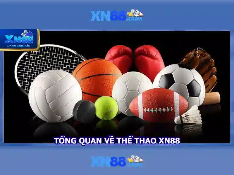 Tính năng và trải nghiệm người dùng