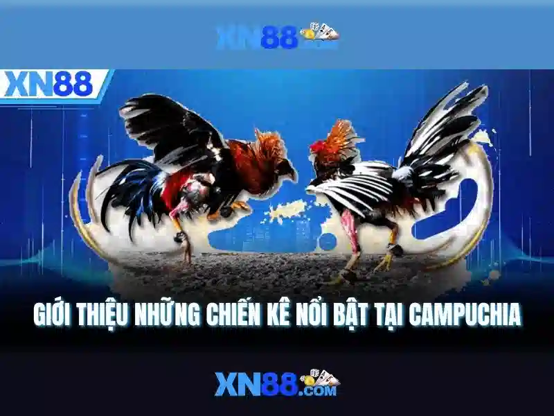 Biểu đồ bảo mật và quy trình xác thực