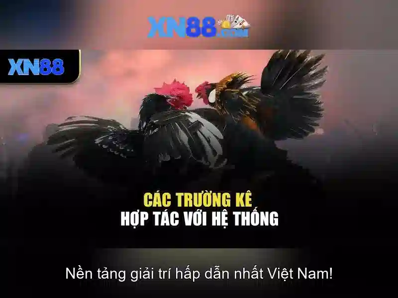 Lịch sử và uy tín của xn88