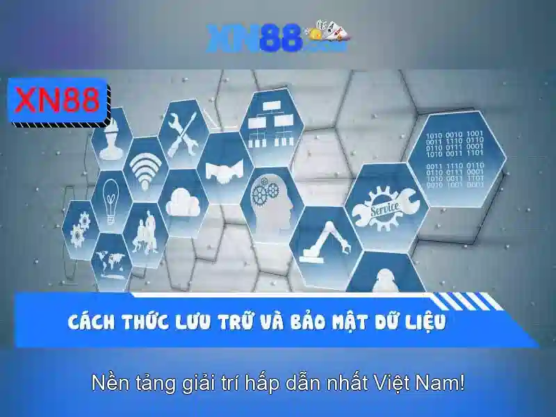 Giới thiệu về xn88