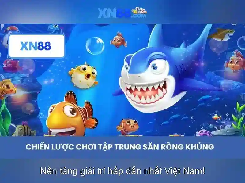 Giới thiệu về xn88