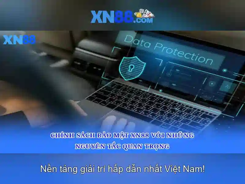 Lịch sử và phát triển
