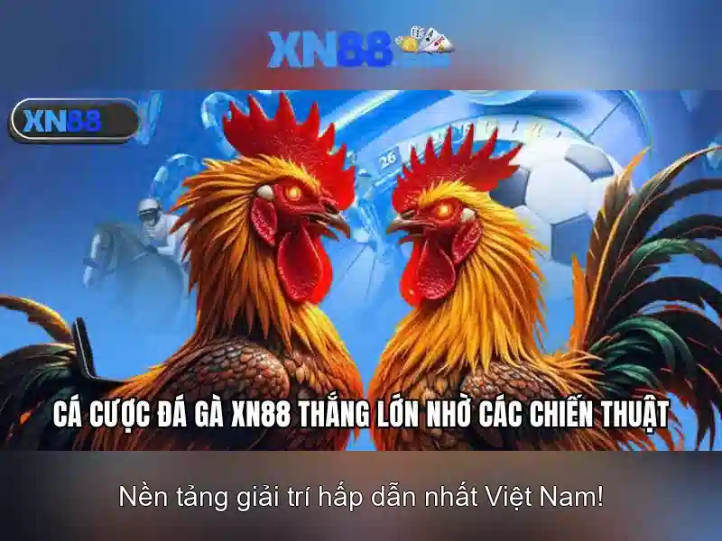 Phân tích về xn88 và các tính năng