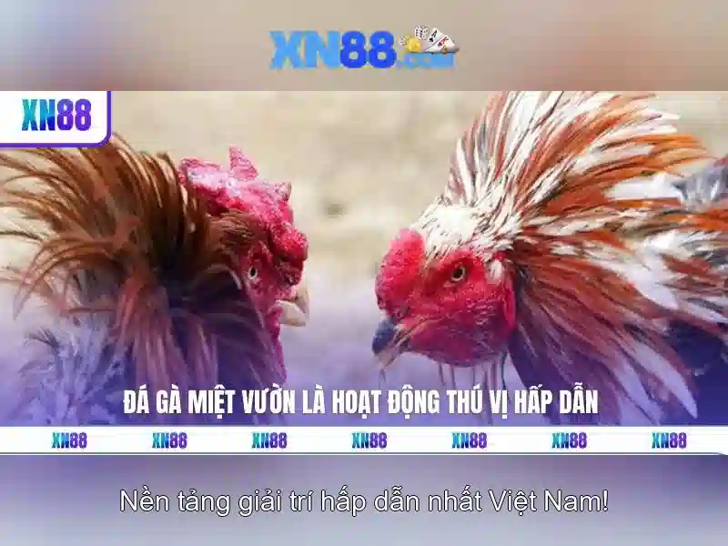 An toàn, quyền riêng tư và quản trị cộng đồng của xn88