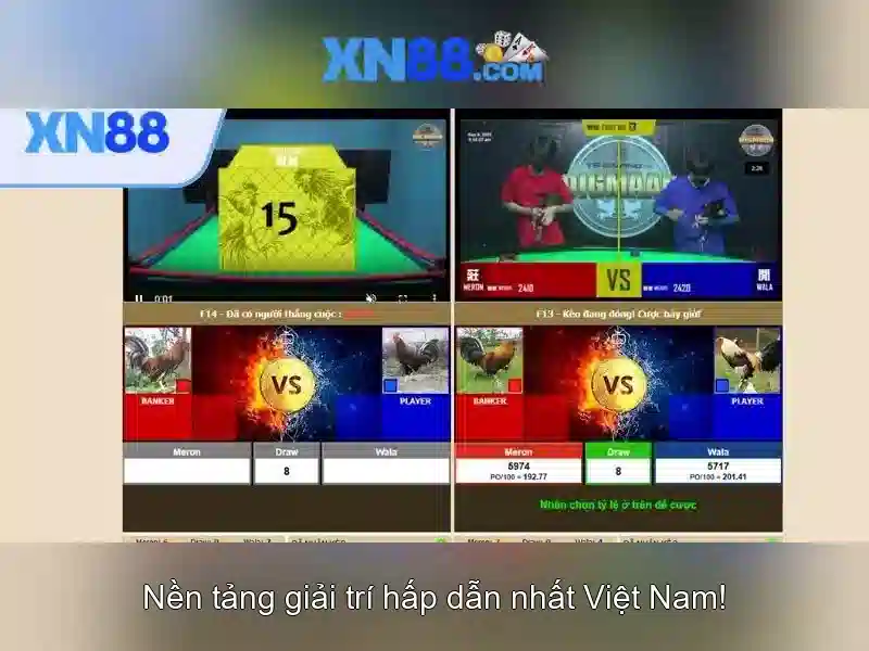 Đánh giá và an toàn khi sử dụng xn88