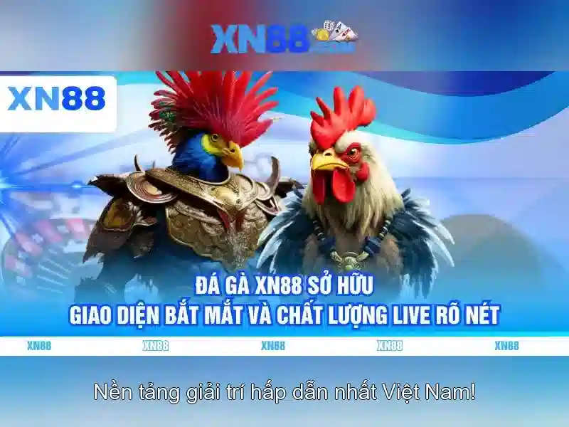 xn88: Giới thiệu và đánh giá nền tảng chơi game trực tuyến Giao diện nhà cái hoàn hảo