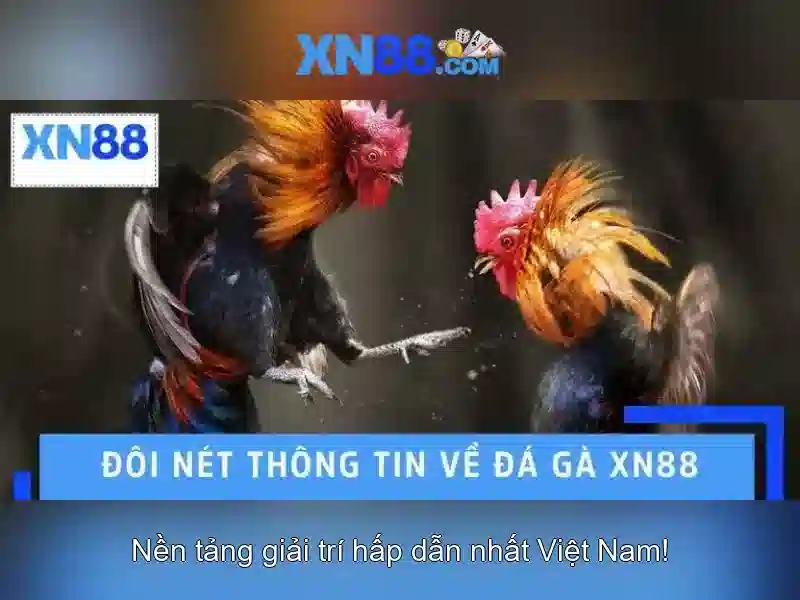 Các tính năng nổi bật