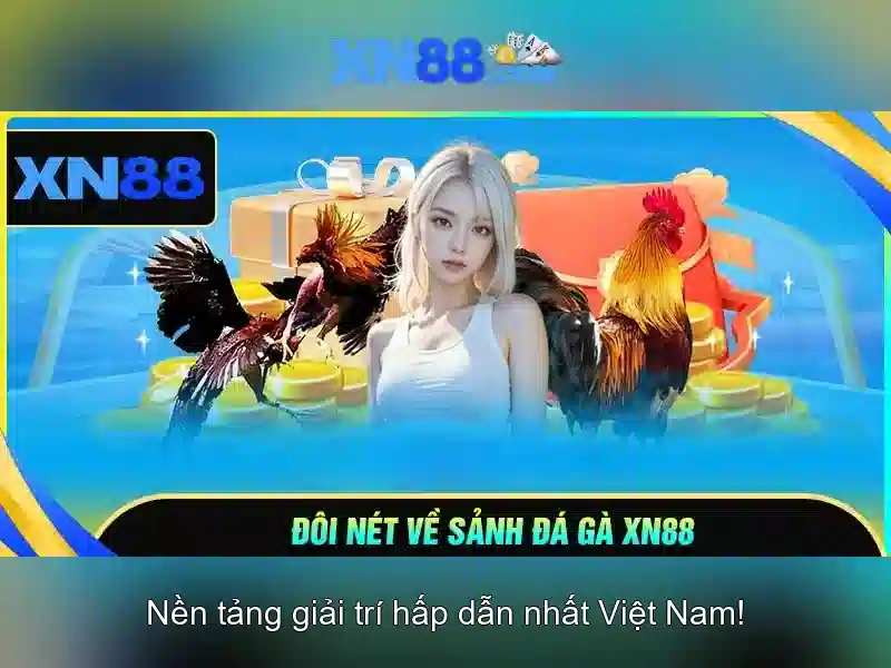 Giới thiệu xn88