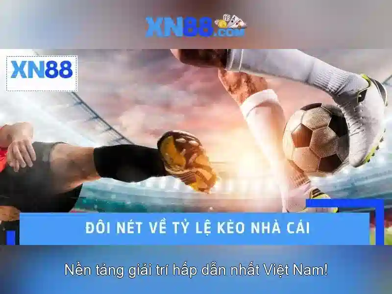 Hỗ trợ khách hàng