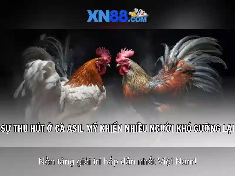 Giao diện xn88 thanh toán