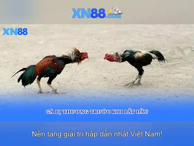 Uy tín và an toàn khi sử dụng