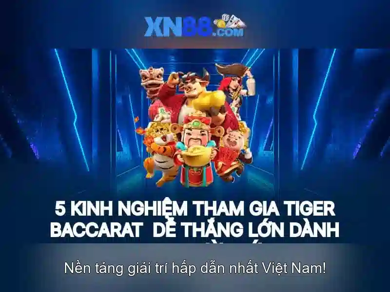 Các dịch vụ chính của xn88