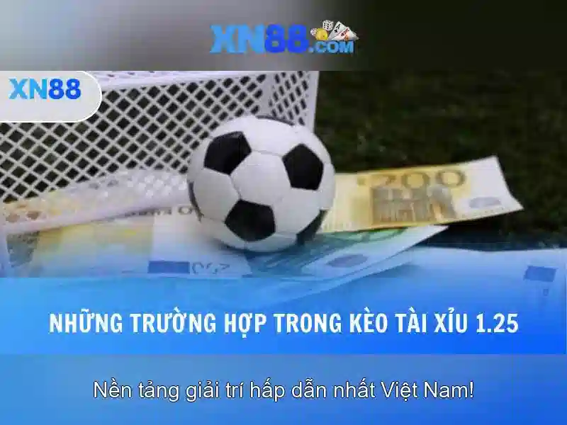 Trải nghiệm người dùng và hỗ trợ khách hàng