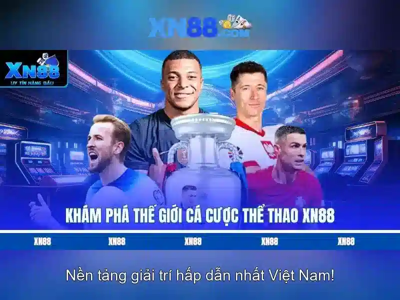 Nền tảng và dịch vụ