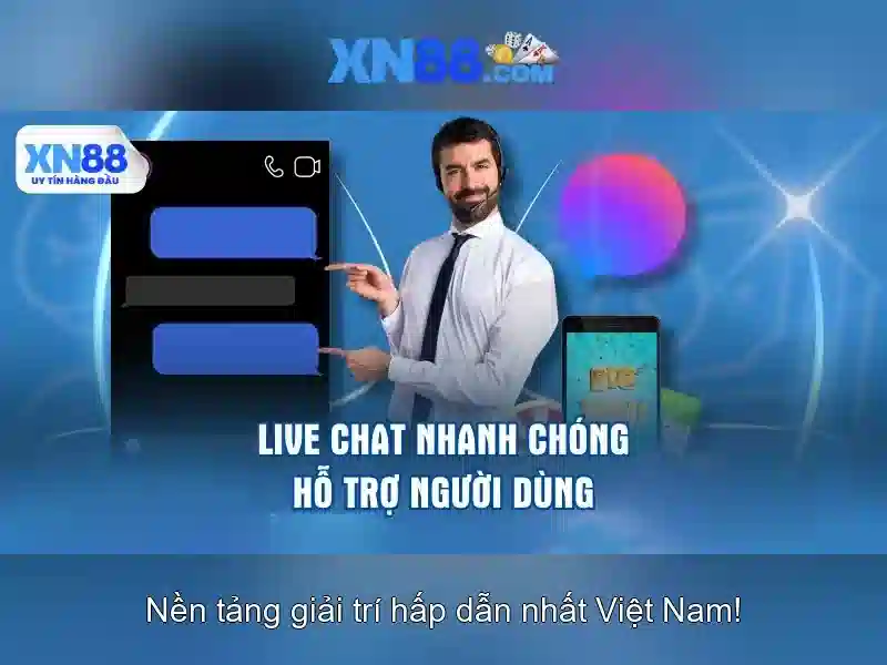 Lĩnh vực hoạt động của xn88