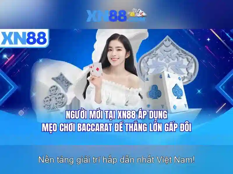 Lịch sử và phát triển