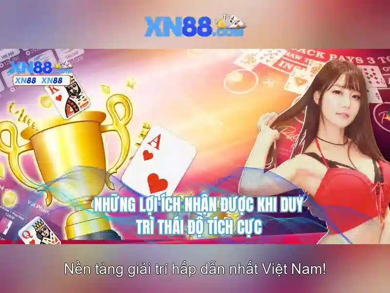 Các dịch vụ chính