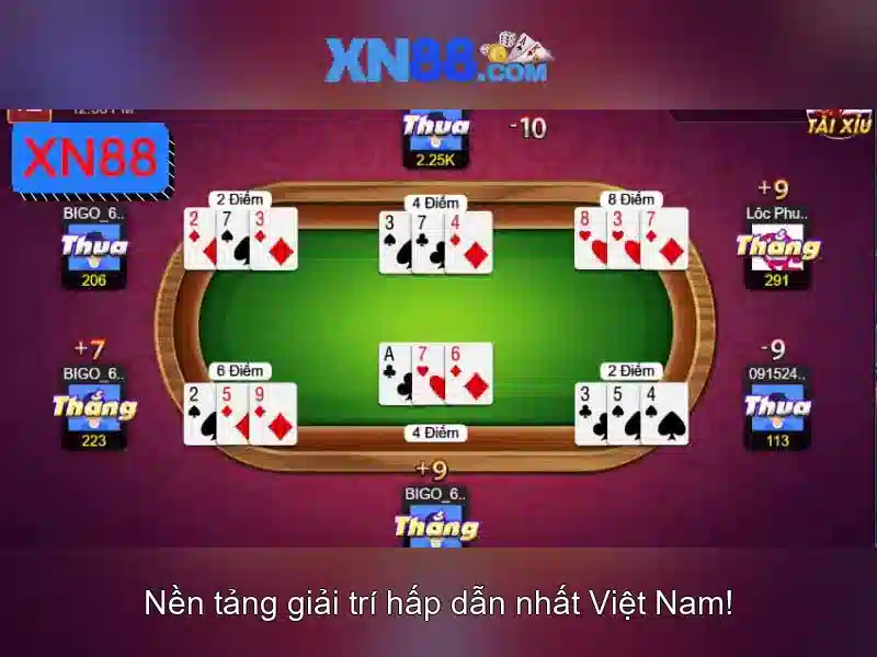 Nguồn gốc và sự phát triển