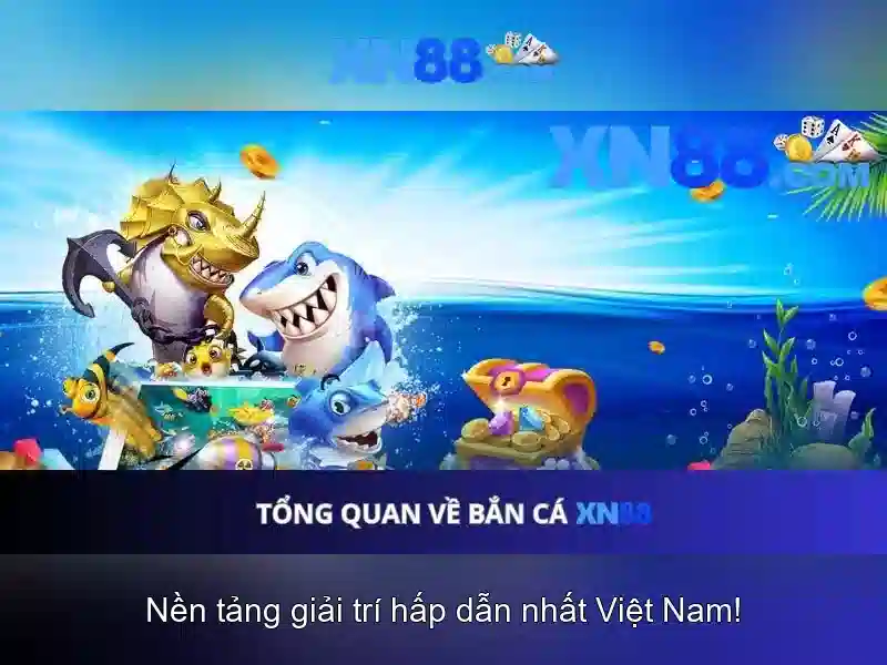 Giới thiệu về xn88